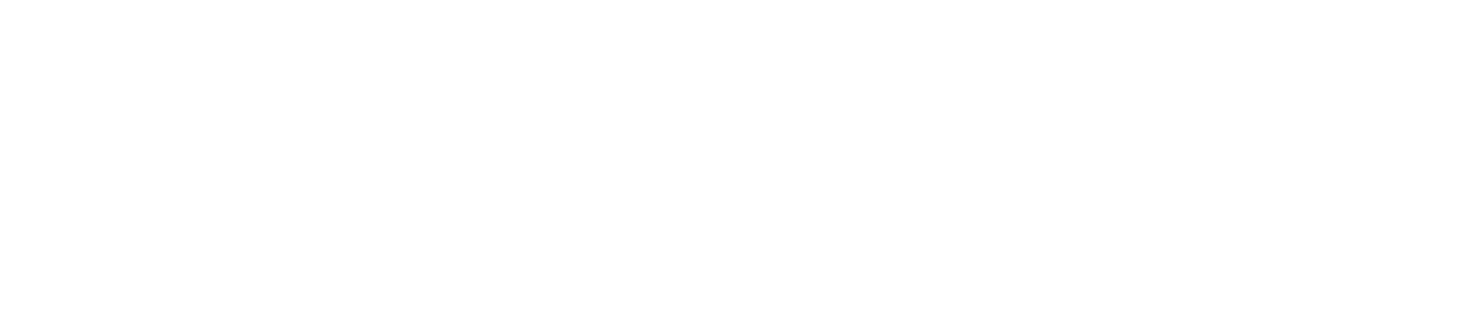 Virtus Advisory Logo